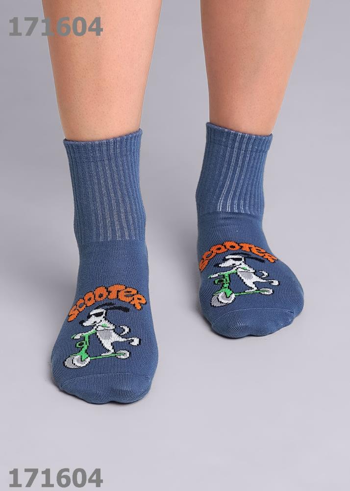 Носки дет  Clever (АРТ. С4334)