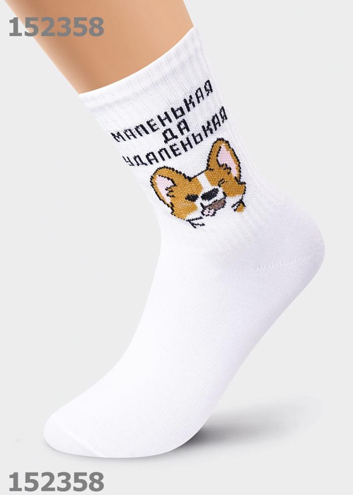 Носки жен  Clever (АРТ. Д5214)