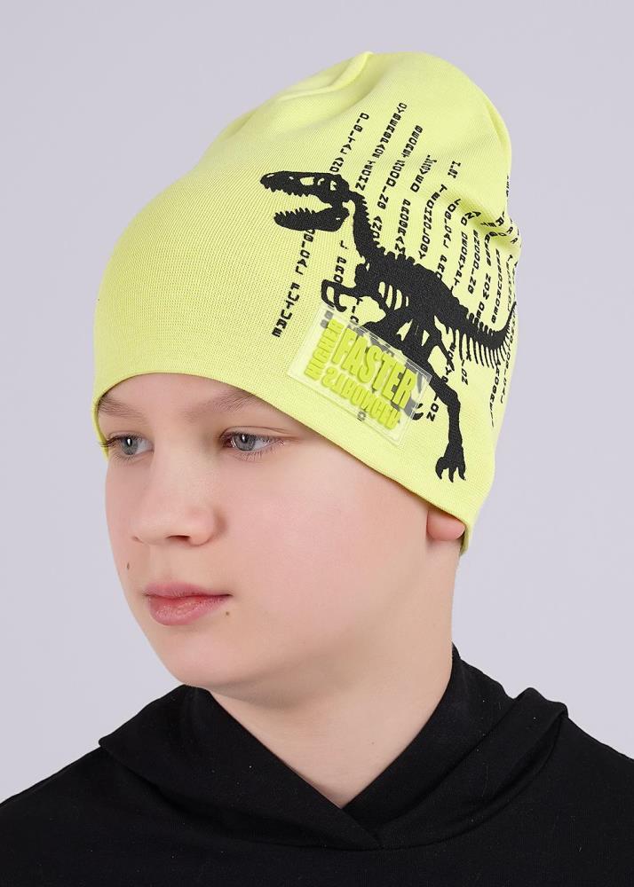 Шапка дет (АРТ. 546601рп)