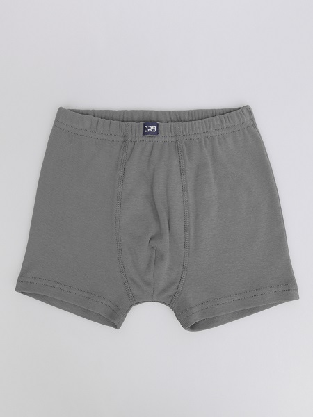 Трусы-боксеры  мал (АРТ. CWJB 10139)