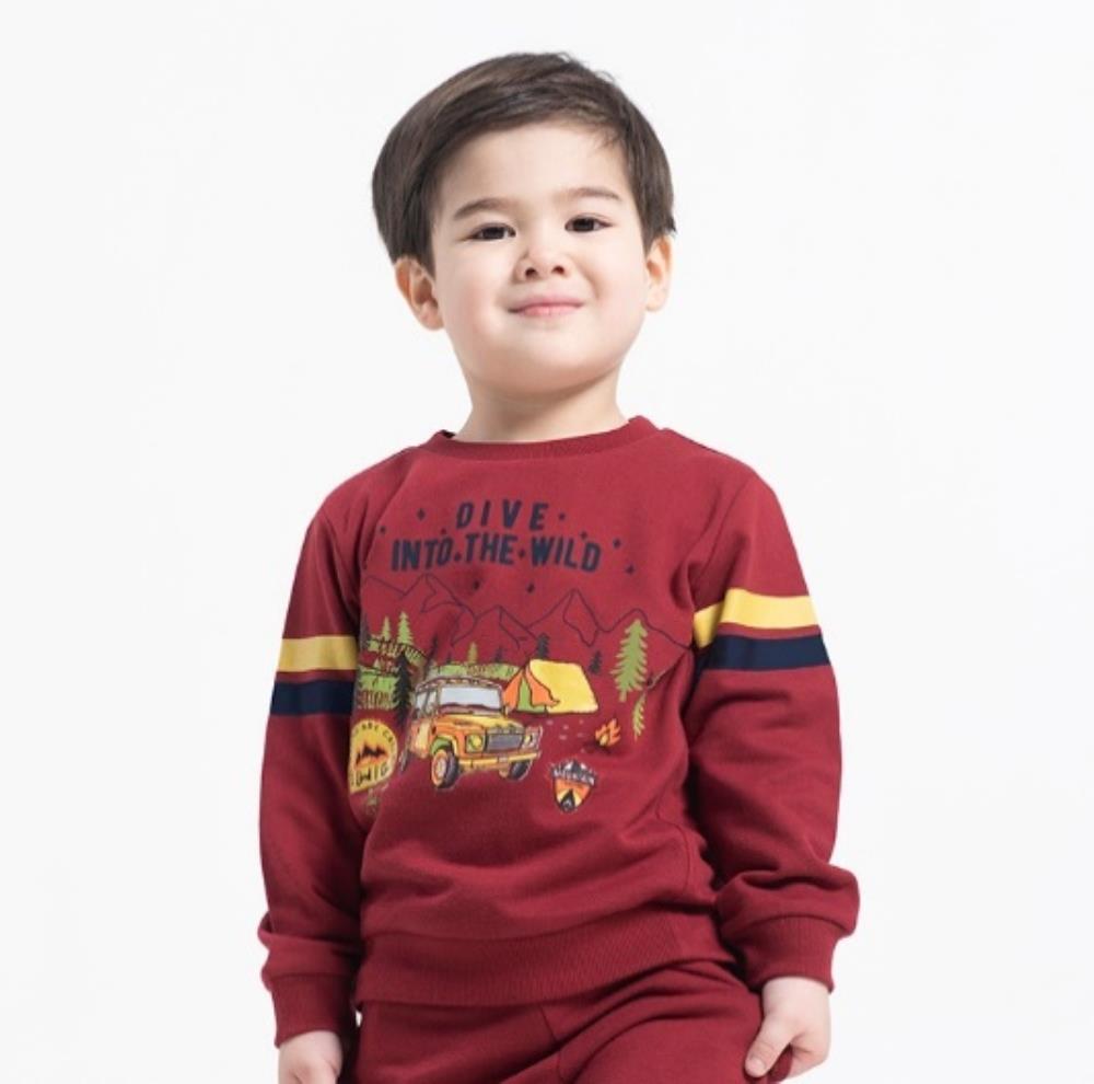 Джемпер модель "свитшот" мал (АРТ. CWKB 62870)