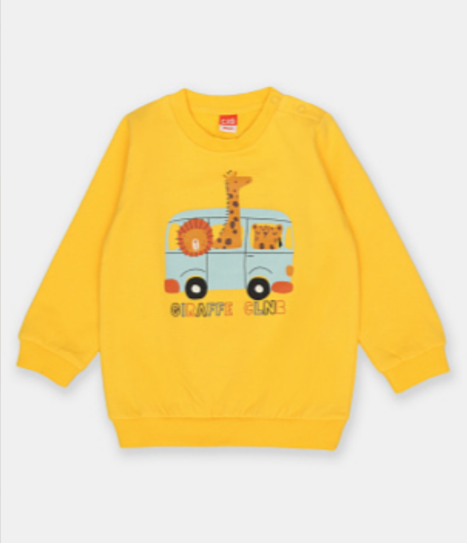 Джемпер мал (АРТ. CSBB 63755)