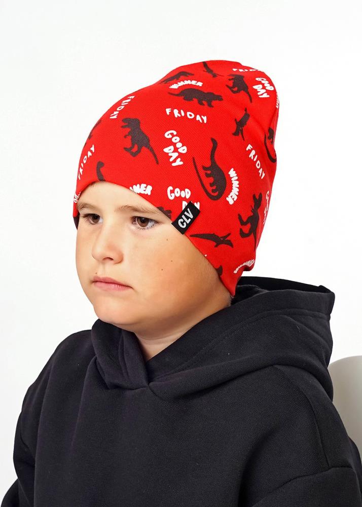 Шапка дет (АРТ. 536026рп)