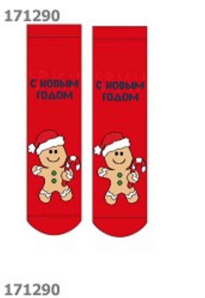 Носки жен (АРТ. Д2352П)