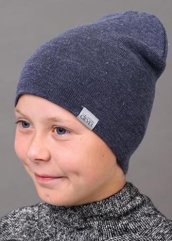 Шапка  Clever (АРТ. 902419аш)