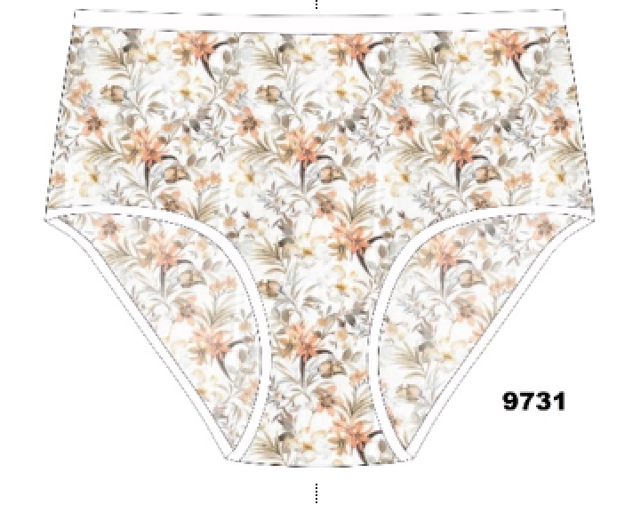 Трусы жен (АРТ. 9731)