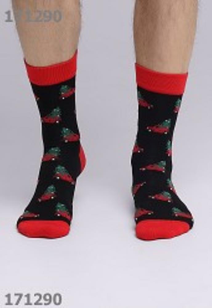 Носки муж (АРТ. К3362Л)