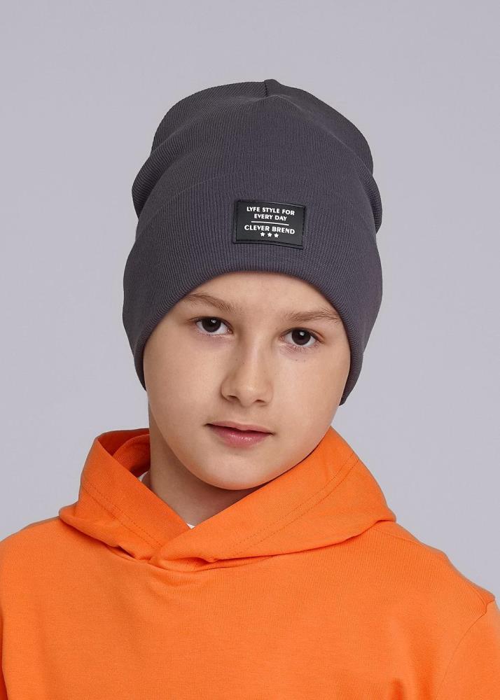 Шапка дет (АРТ. 436298ш)
