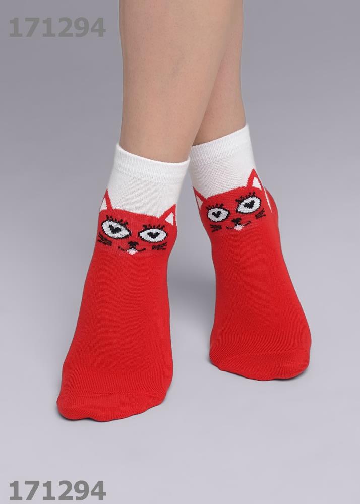 Носки дет (АРТ. С4313)