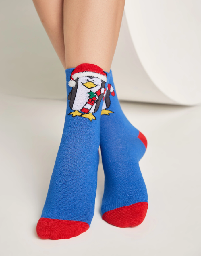 Носки жен. хлопковые NEW YEAR 19С-86СП (АРТ. 19С-86СП)