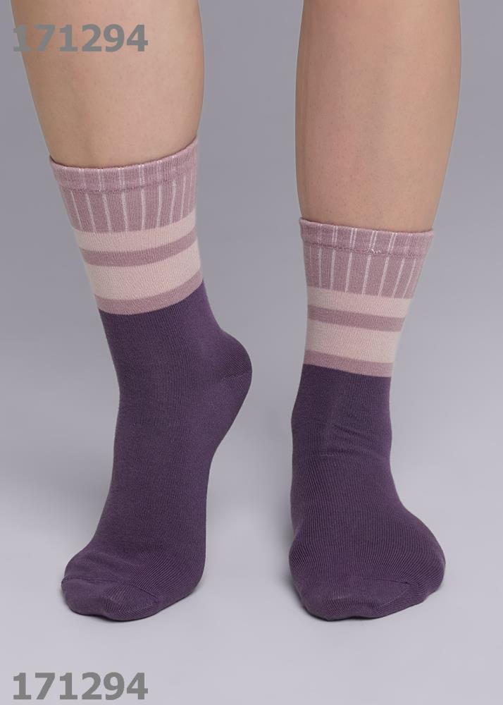 Носки жен (АРТ. Д2300)