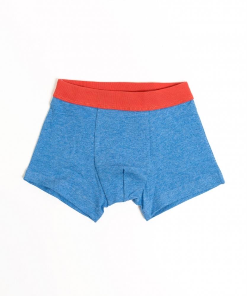 Трусы мал (АРТ. 413341)