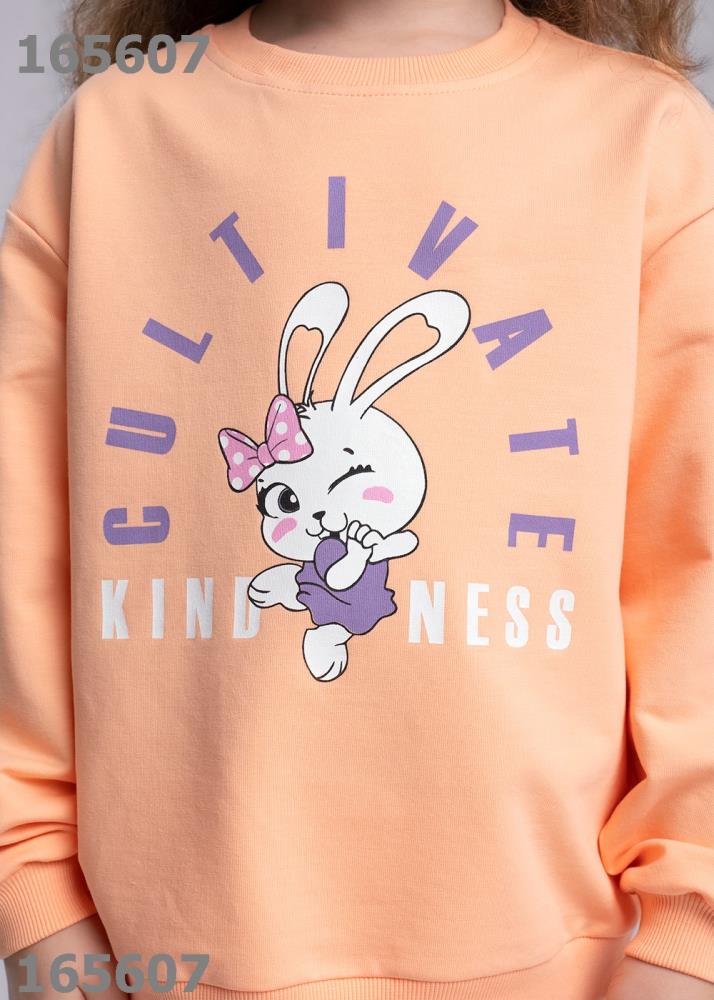 Джемпер дев Clever (АРТ. 836046/48у_п)