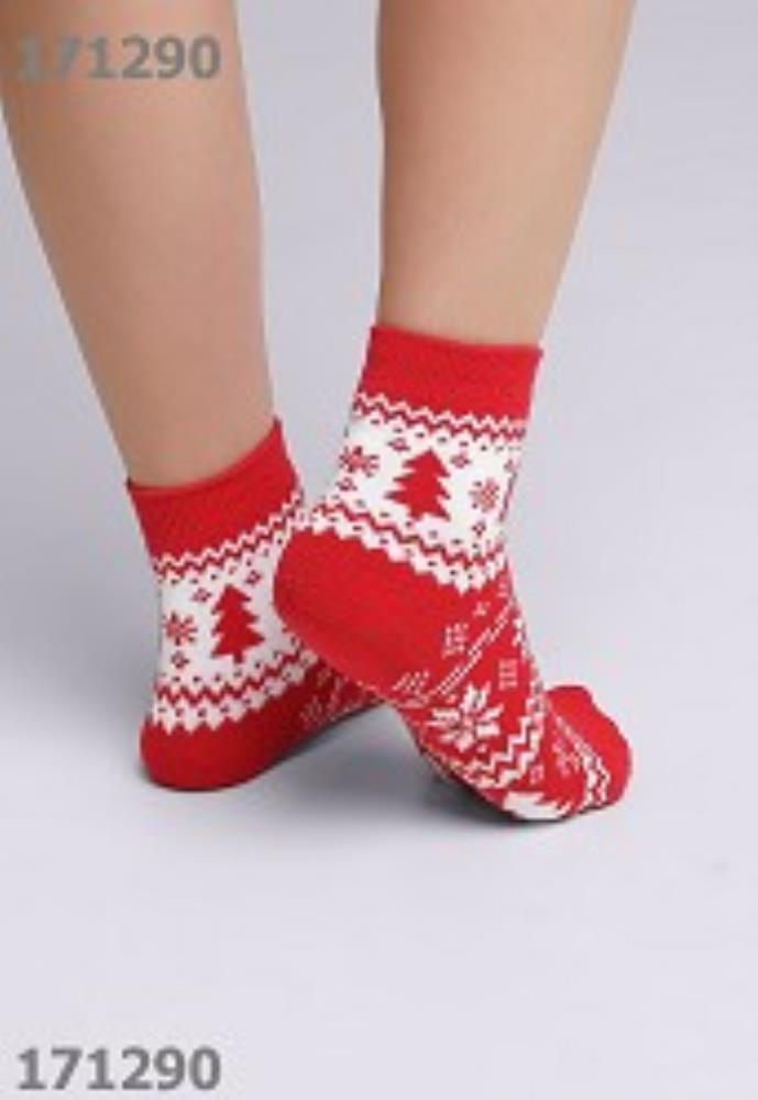 Носки жен (АРТ. Д2350П)