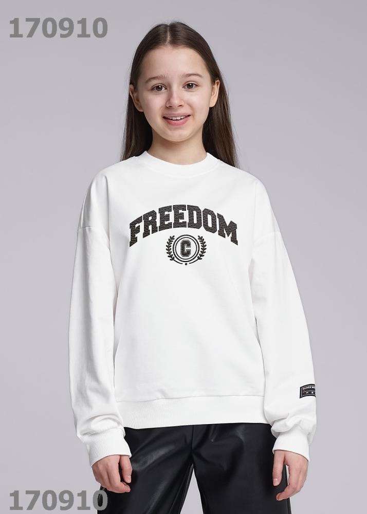 Джемпер дев (АРТ. 736290/64ф_п)