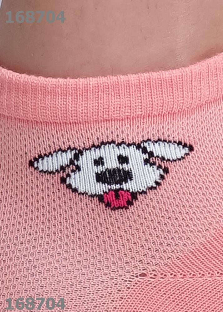 Носки дет (АРТ. С13100)