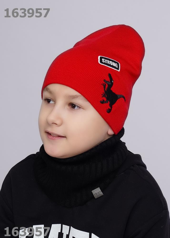 Шапка дет Clever (АРТ. 533690ха)