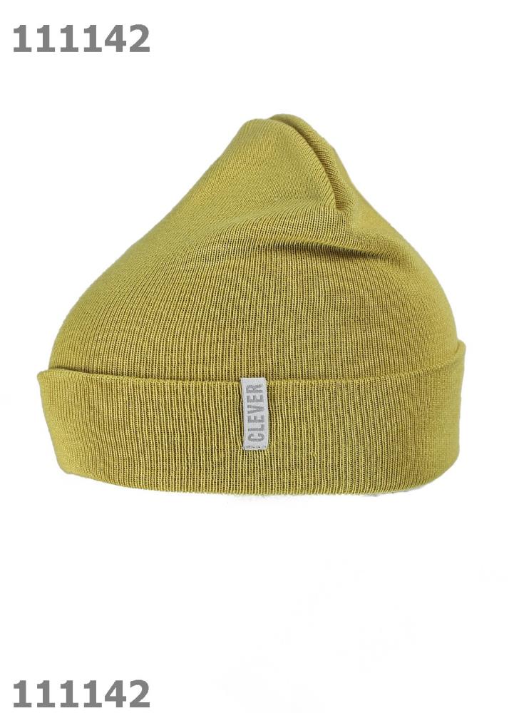 Шапка дет (АРТ. 761273ша)