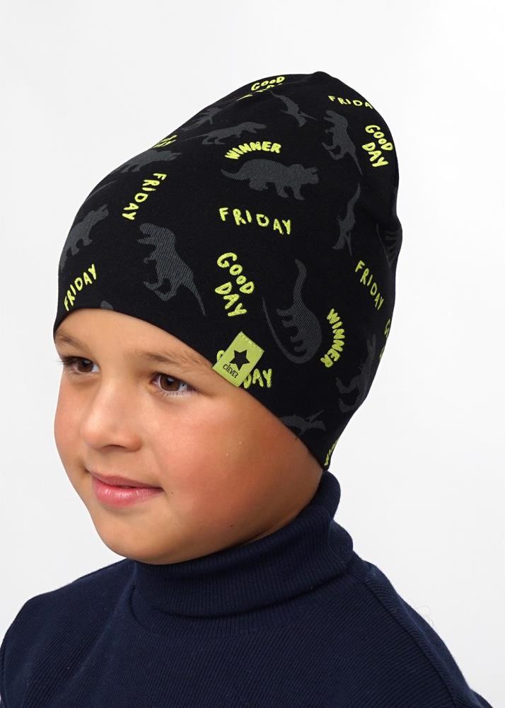 Шапка дет (АРТ. 536026рп)