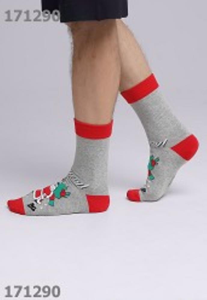 Носки муж (АРТ. К3356Л)