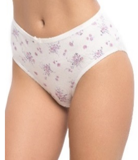 Трусы жен (АРТ. 8760)