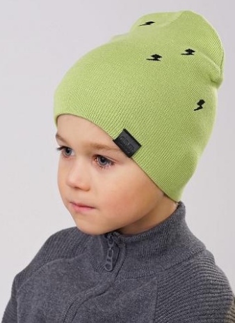 Шапка дет (АРТ. 813063ха)