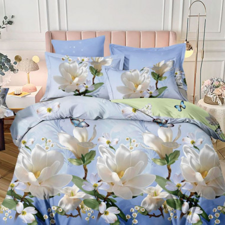 КПБ Евро поплин (АРТ. П-2704)