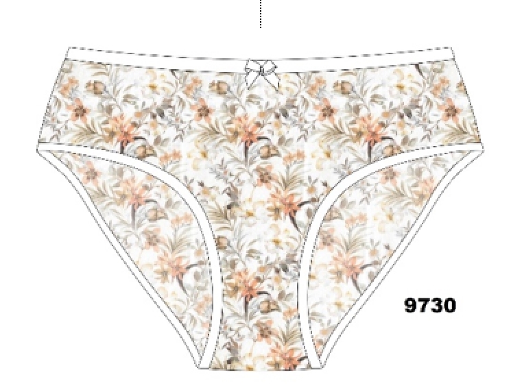 Трусы жен (АРТ. 9730)