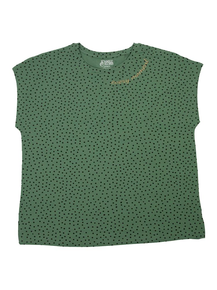 Футболка жен Family Colors (АРТ. FSLW 60176)