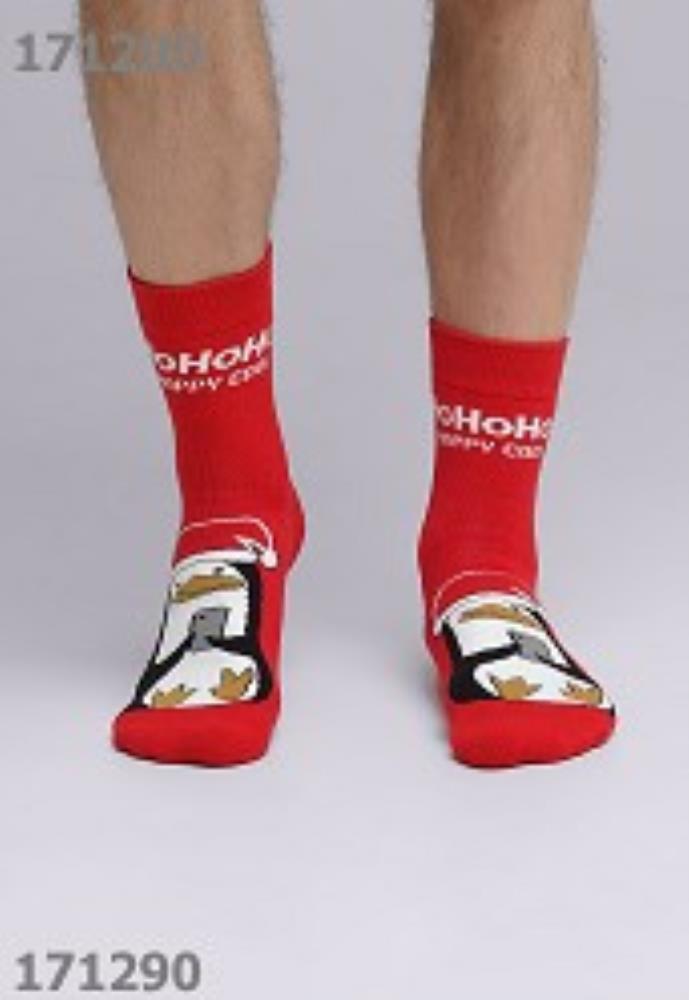 Носки муж  (АРТ. К3351П)