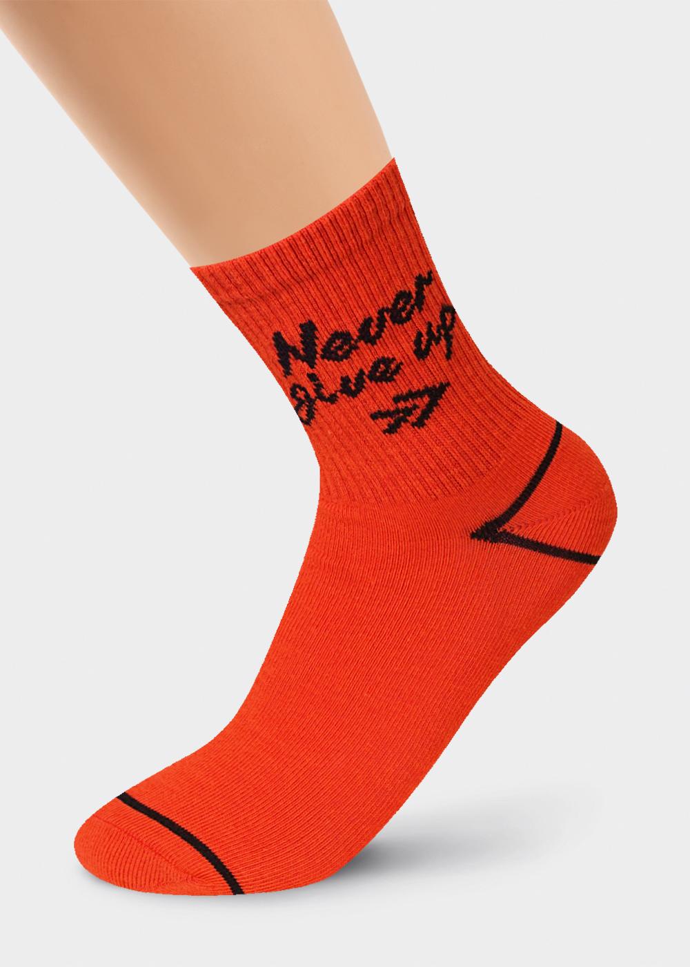 Носки дет Clever р.24 (АРТ. С4284)