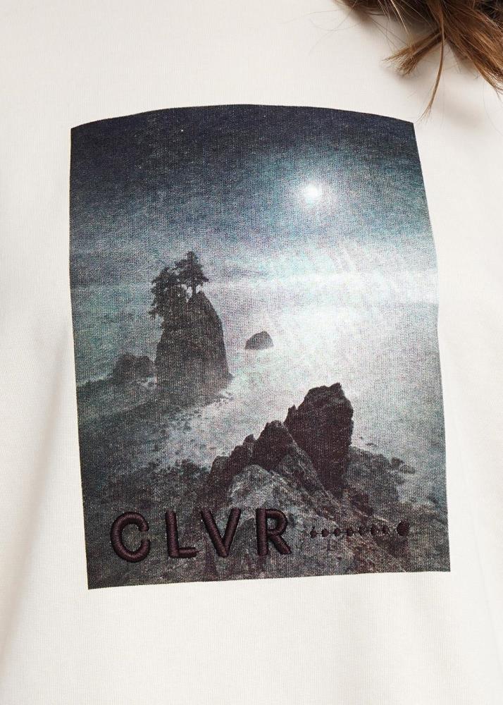 Джемпер жен Clever (АРТ. LSW12-100/1)