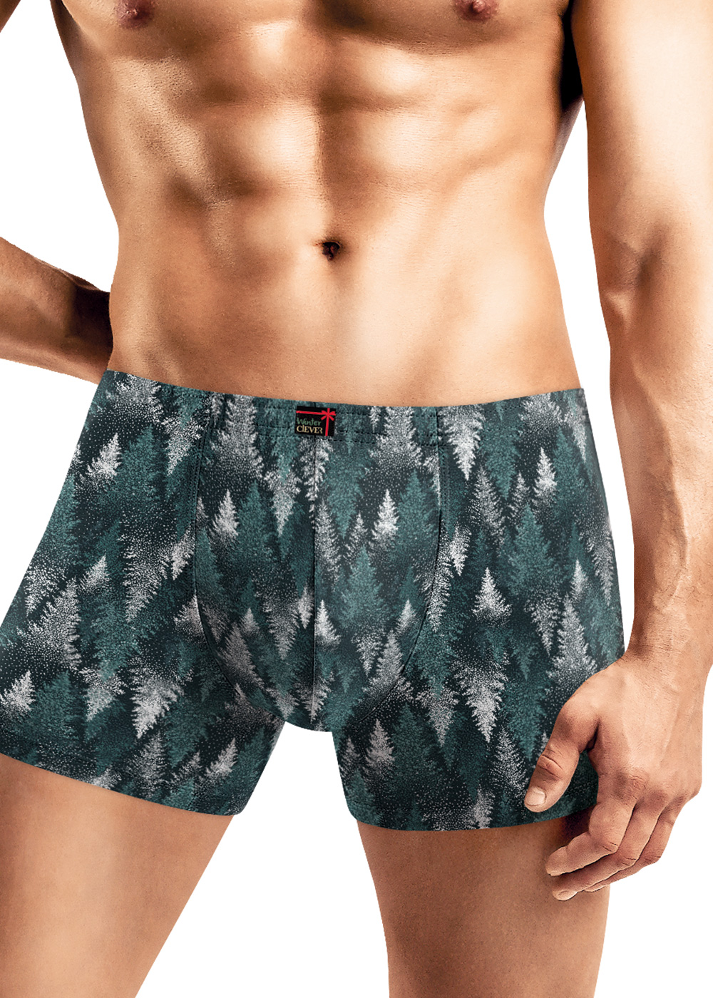 Трусы муж  (АРТ. MSH451241)