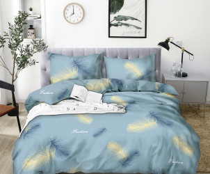 КПБ 1,5-х сп бязь/коробка (АРТ. БГУ4-1027)