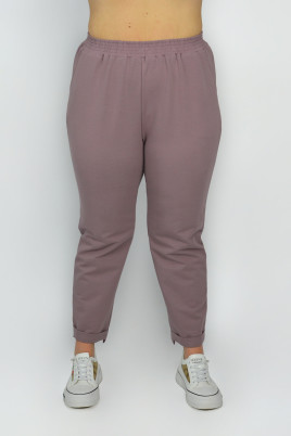 Брюки жен (АРТ. С1418)