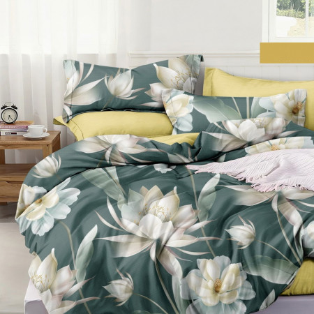 КПБ Семейный поплин (АРТ. ПВ12-1264)