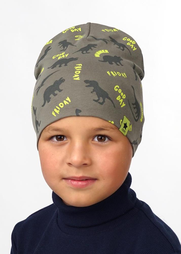 Шапка дет (АРТ. 536026рп)