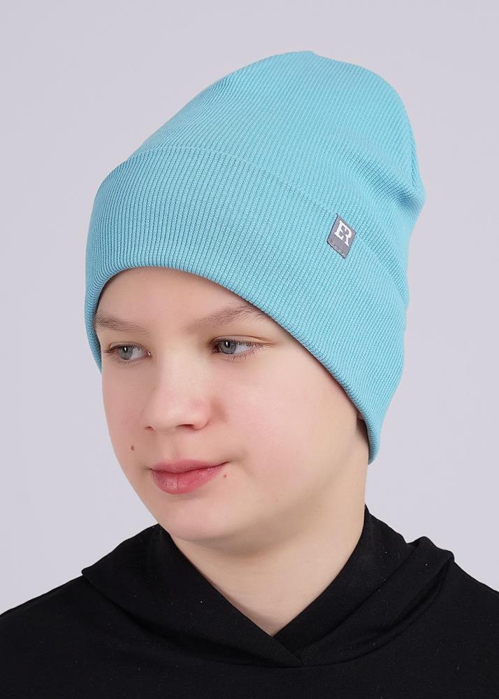 Шапка дет. 546621шш (АРТ. 546621шш)