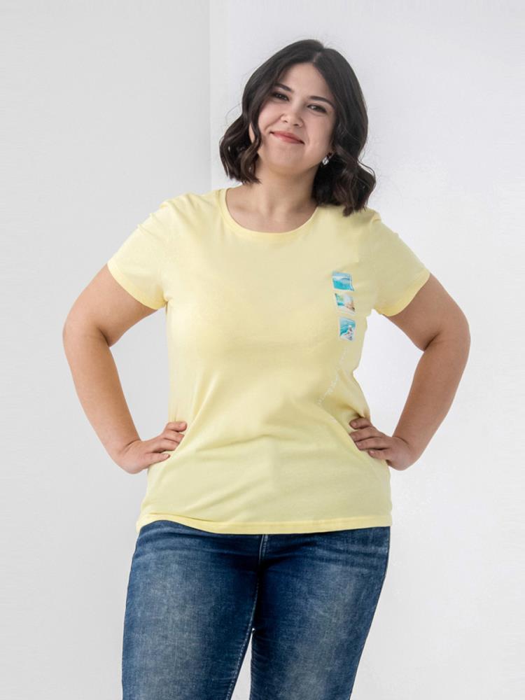 Футболка жен Family Colors (АРТ. FSMW 60174)