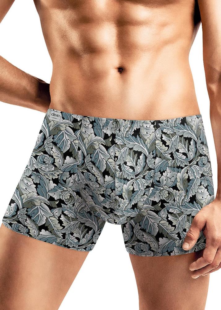 Трусы муж Clever (АРТ. MSH530711)