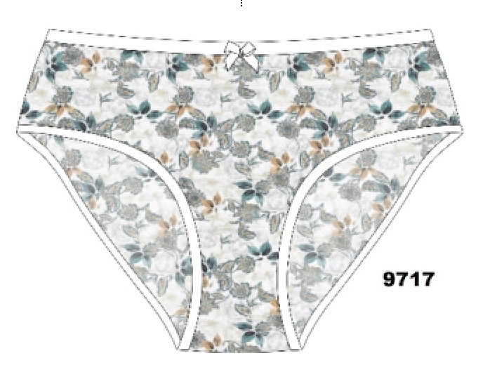 Трусы жен (АРТ. 9717)