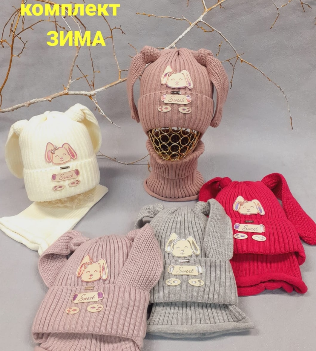 Комплект дев зимний Есмия (АРТ. D2251)