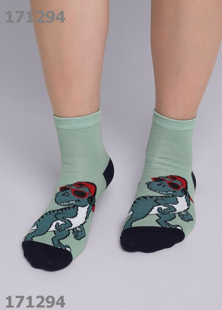 Носки дет (АРТ. С4317)