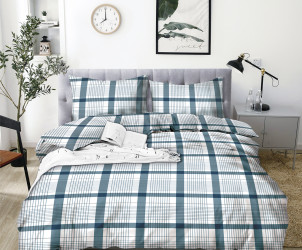 КПБ 1,5-х сп бязь/коробка (АРТ. БГУ4-1026)