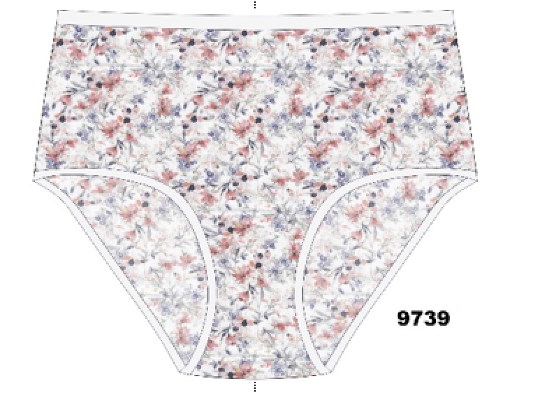 Трусы жен (АРТ. 9739)