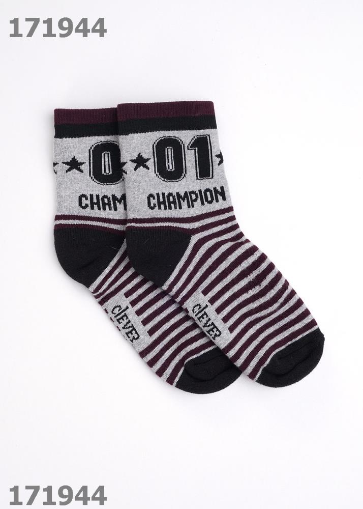 Носки дет Clever (АРТ. С239П)