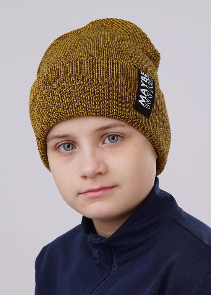 Шапка дет Clever (АРТ. 523440ха)