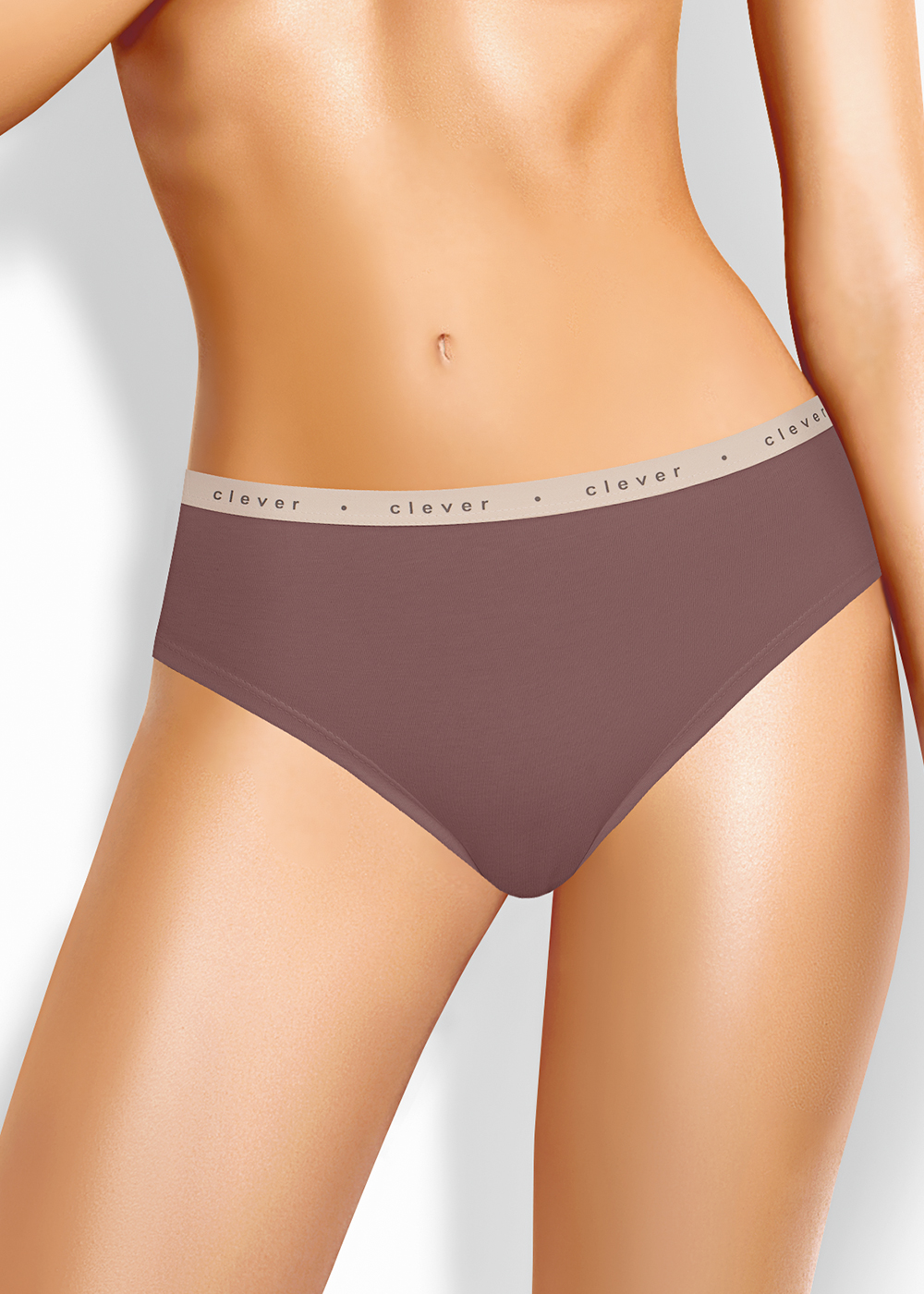 Трусы жен (АРТ. BR15-1206)