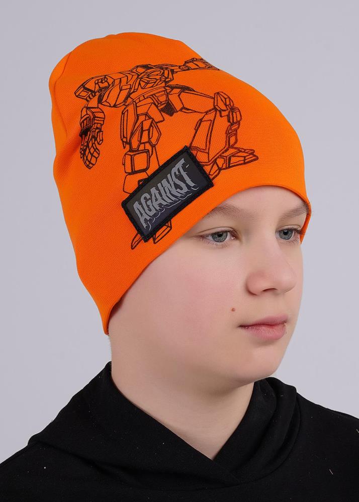 Шапка дет (АРТ. 546602рп)