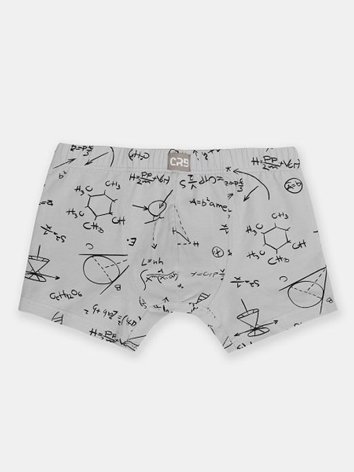 Трусы-боксеры муж (АРТ. CSXM 10052)